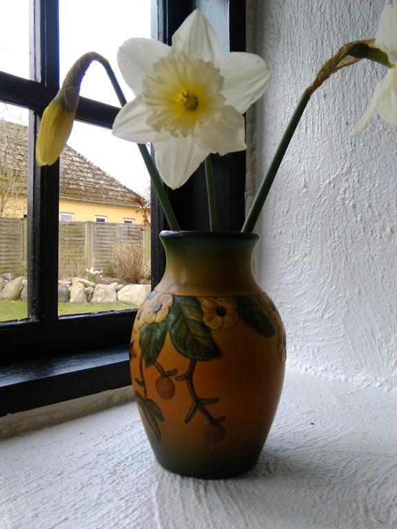 Dastrup Bed & Breakfast Viby ภายนอก รูปภาพ