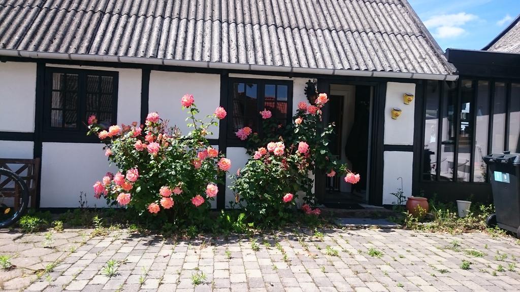 Dastrup Bed & Breakfast Viby ภายนอก รูปภาพ