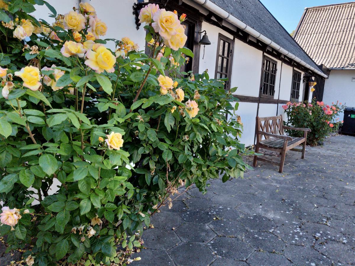 Dastrup Bed & Breakfast Viby ภายนอก รูปภาพ